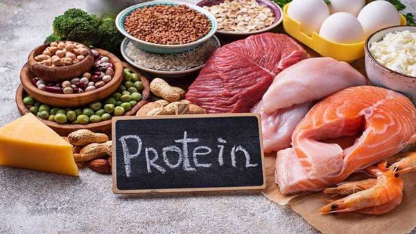 Protein có vai trò quan trọng trong chế độ dinh dưỡng