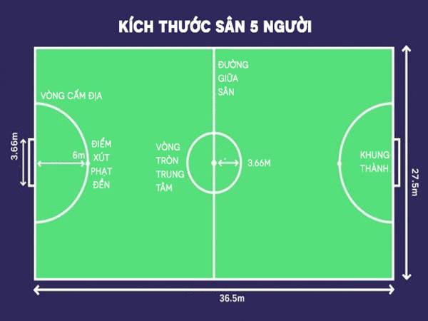 Tìm hiểu kích thước sân bóng đá 5 người mini tiêu chuẩn