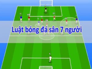 Giới thiệu về luật thi đấu bóng đá 7 người